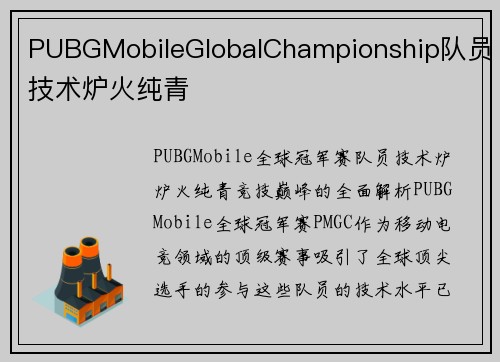 PUBGMobileGlobalChampionship队员技术炉火纯青