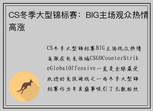 CS冬季大型锦标赛：BIG主场观众热情高涨