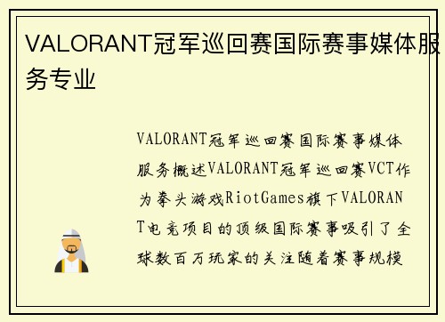 VALORANT冠军巡回赛国际赛事媒体服务专业